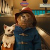 【映画ニュース】映画史上もっとも紳士なクマ!? 映画『パディントン』、特報公開